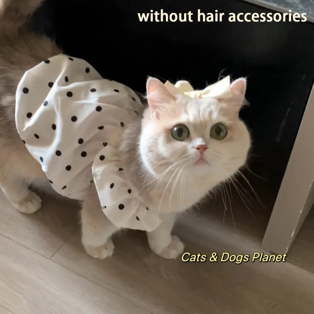 Cute Pet Dog Dress