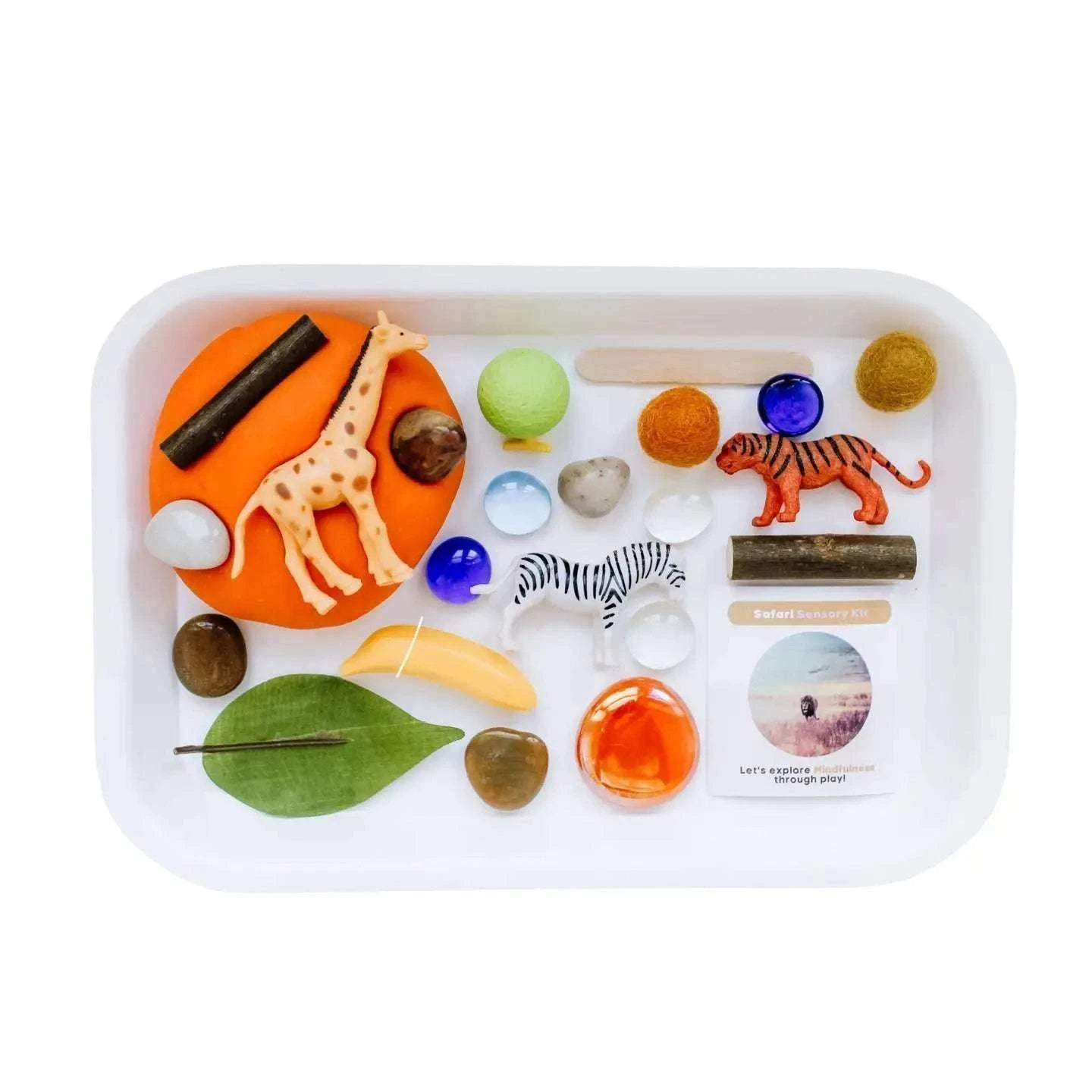 Children's Sensory Play Dough Kit - Caitly